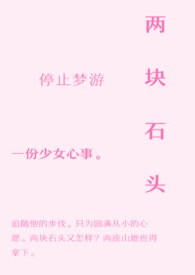 两块石头一块做成了台阶